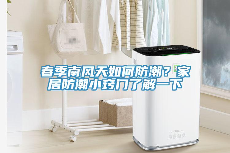 春季南風(fēng)天如何防潮？家居防潮小竅門了解一下
