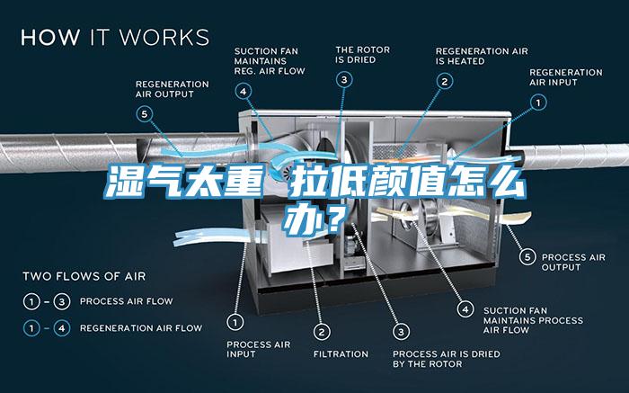 濕氣太重 拉低顏值怎么辦？