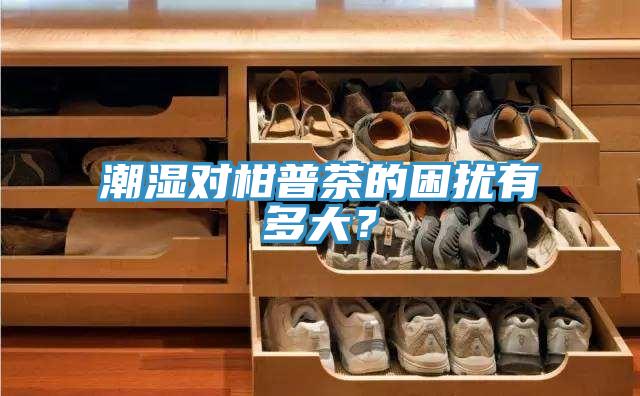潮濕對柑普茶的困擾有多大？