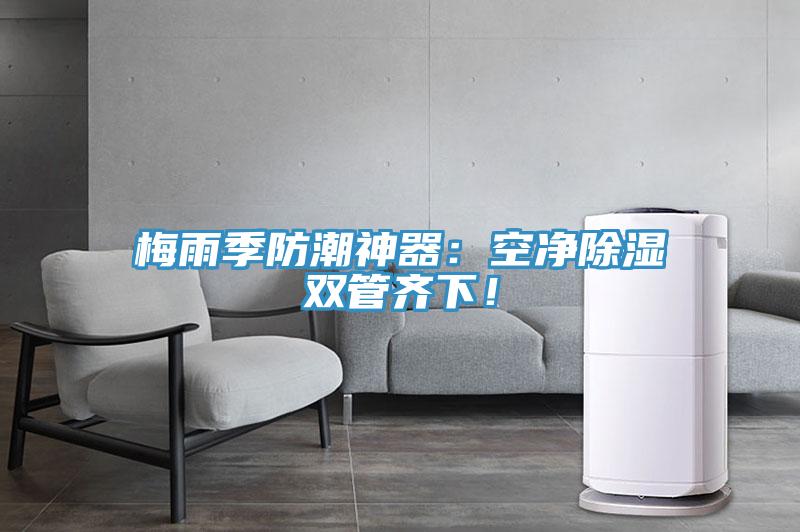 梅雨季防潮神器：空凈除濕雙管齊下！