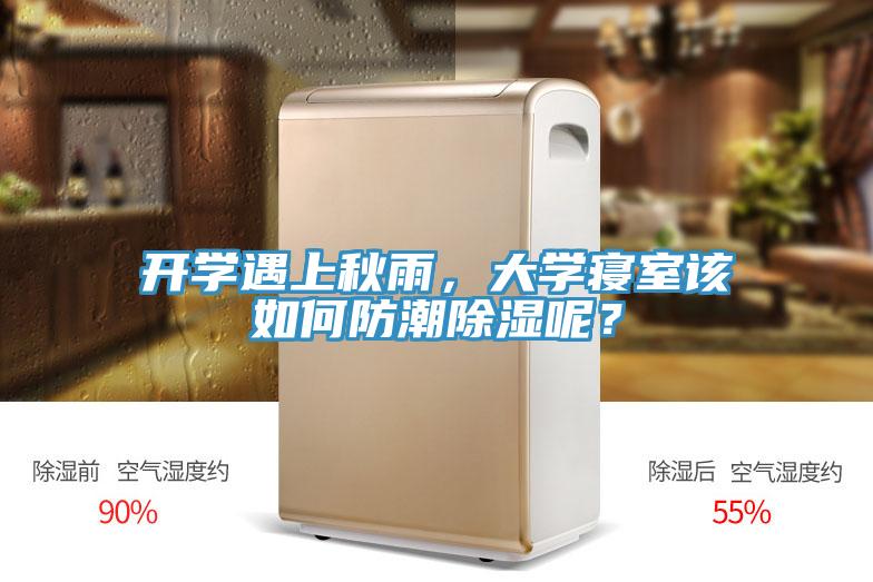 開學(xué)遇上秋雨，大學(xué)寢室該如何防潮除濕呢？