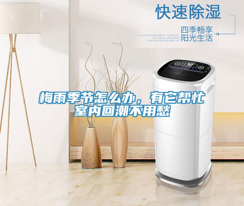 梅雨季節(jié)怎么辦，有它幫忙室內(nèi)回潮不用愁