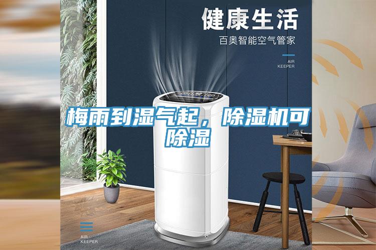 梅雨到濕氣起，除濕機(jī)可除濕