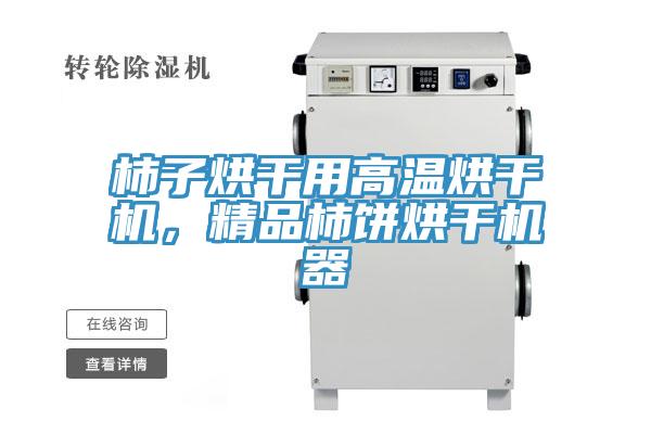 柿子烘干用高溫烘干機(jī)，精品柿餅烘干機(jī)器