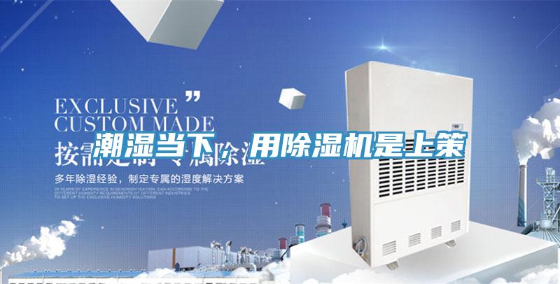 潮濕當(dāng)下，用除濕機(jī)是上策
