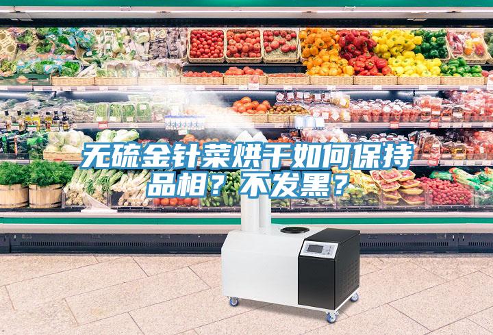 無(wú)硫金針菜烘干如何保持品相？不發(fā)黑？