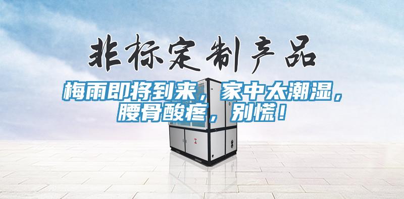 梅雨即將到來，家中太潮濕，腰骨酸疼，別慌！