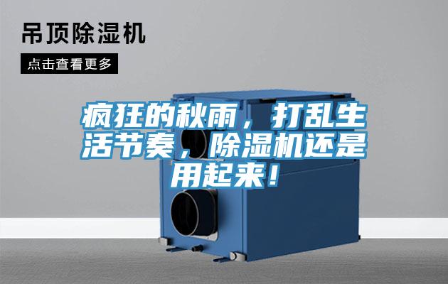 瘋狂的秋雨，打亂生活節(jié)奏，除濕機(jī)還是用起來！