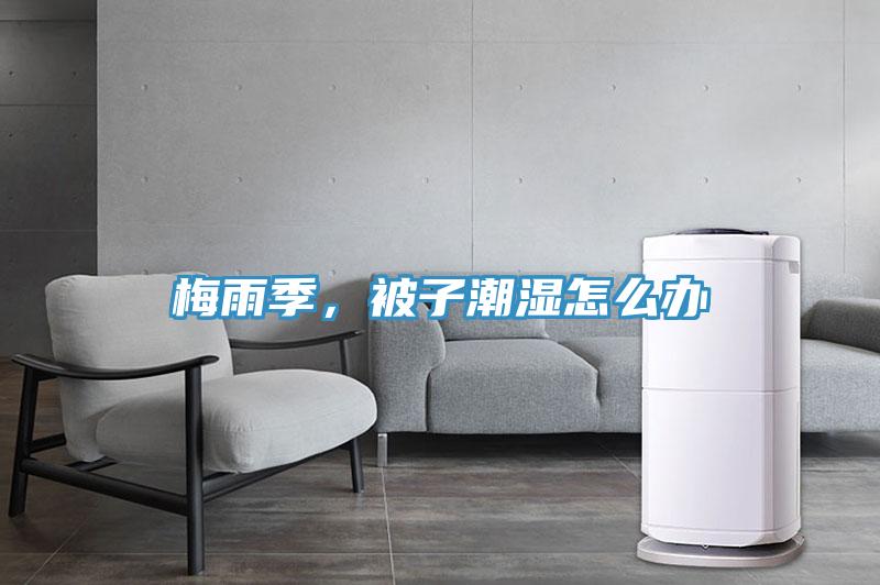 梅雨季，被子潮濕怎么辦
