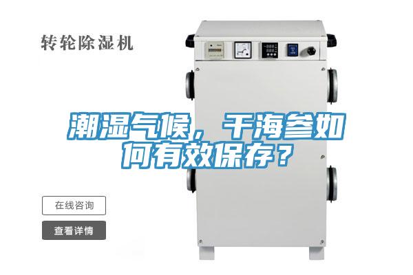 潮濕氣候，干海參如何有效保存？