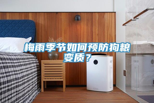 梅雨季節(jié)如何預(yù)防狗糧變質(zhì)？