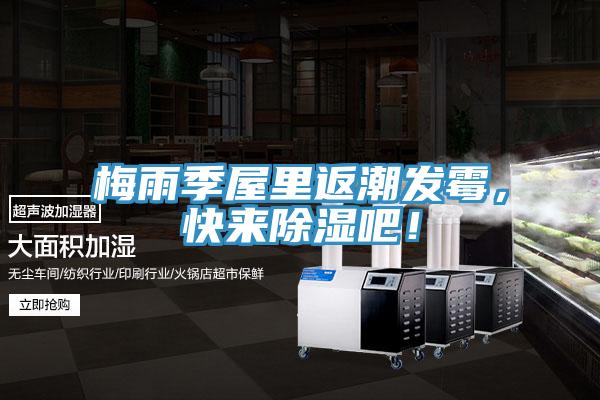 梅雨季屋里返潮發(fā)霉，快來(lái)除濕吧！