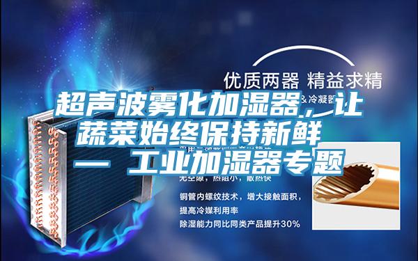 超聲波霧化加濕器，讓蔬菜始終保持新鮮 — 工業(yè)加濕器專題