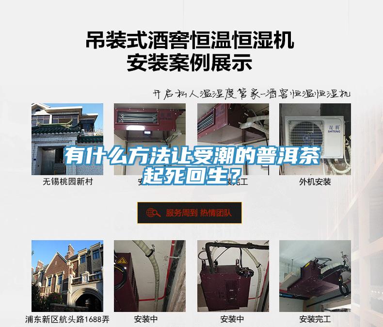 有什么方法讓受潮的普洱茶起死回生？