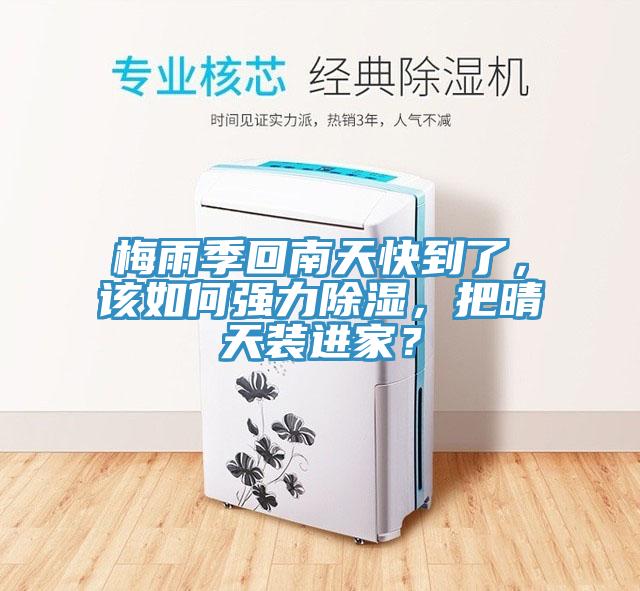 梅雨季回南天快到了，該如何強(qiáng)力除濕，把晴天裝進(jìn)家？