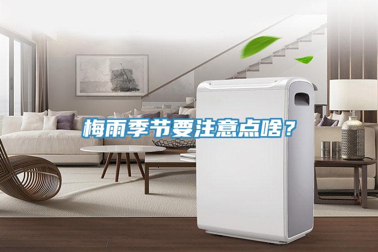 梅雨季節(jié)要注意點(diǎn)啥？