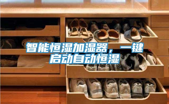 智能恒濕加濕器，一鍵啟動(dòng)自動(dòng)恒濕