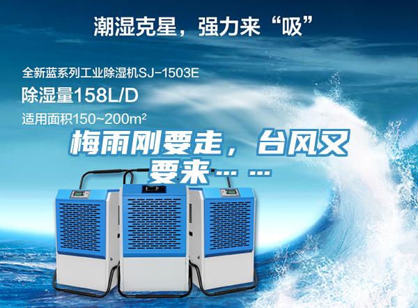 梅雨剛要走，臺(tái)風(fēng)又要來……