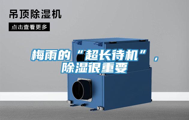 梅雨的“超長(zhǎng)待機(jī)”，除濕很重要
