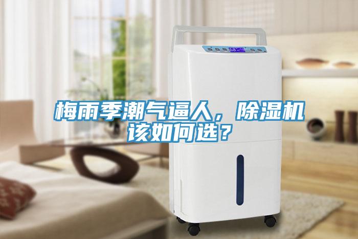 梅雨季潮氣逼人，除濕機該如何選？