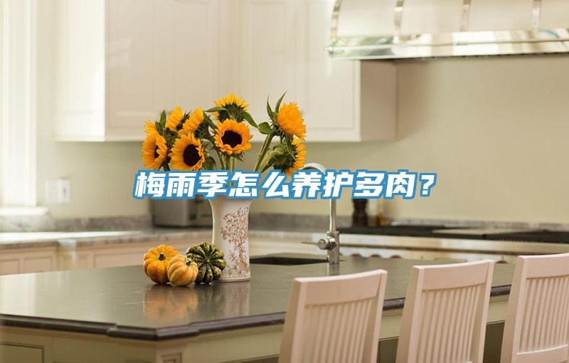 梅雨季怎么養(yǎng)護(hù)多肉？