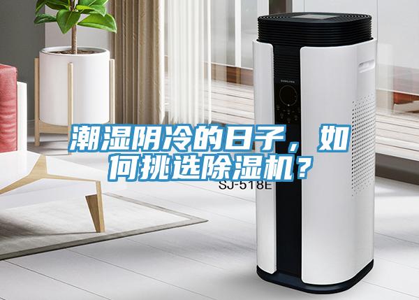 潮濕陰冷的日子，如何挑選除濕機(jī)？