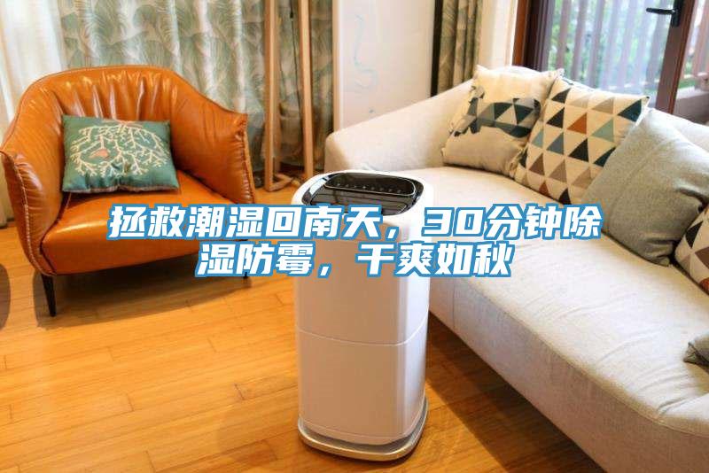 拯救潮濕回南天，30分鐘除濕防霉，干爽如秋