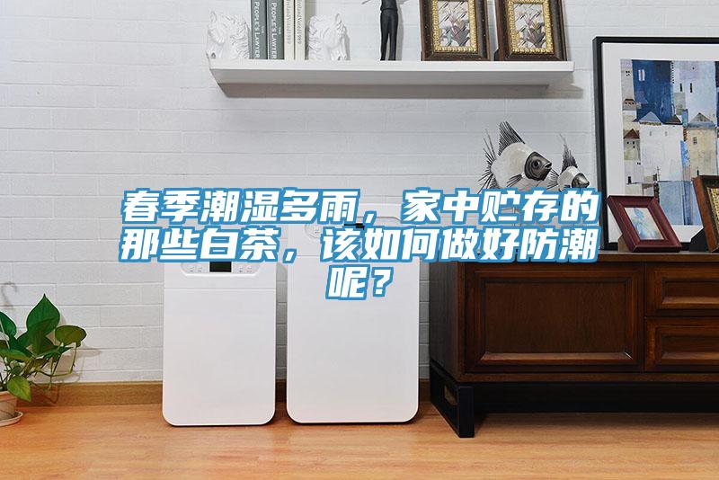 春季潮濕多雨，家中貯存的那些白茶，該如何做好防潮呢？