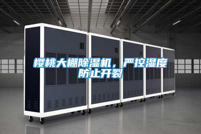櫻桃大棚除濕機(jī)，嚴(yán)控濕度防止開裂