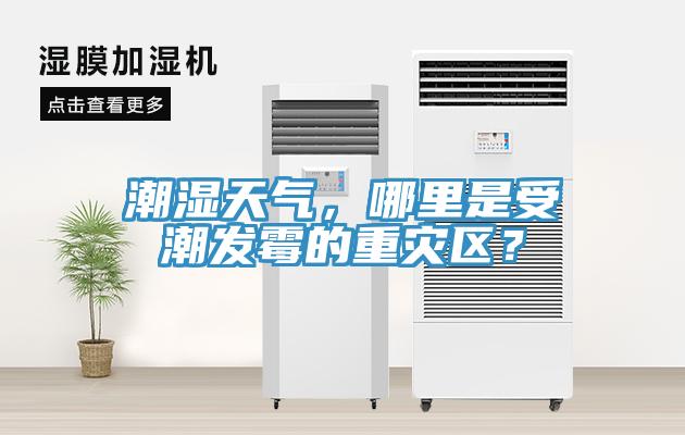 潮濕天氣，哪里是受潮發(fā)霉的重災(zāi)區(qū)？