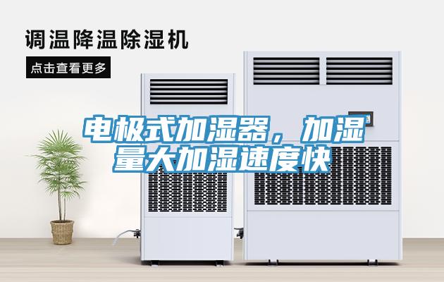 電極式加濕器，加濕量大加濕速度快