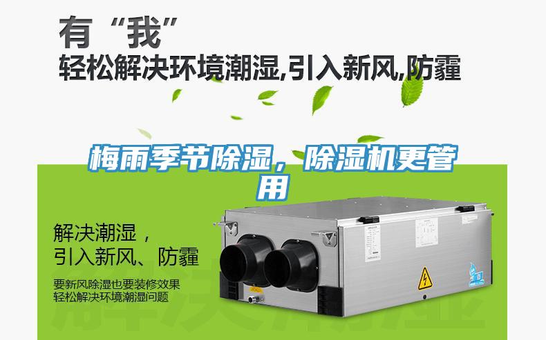 梅雨季節(jié)除濕，除濕機更管用