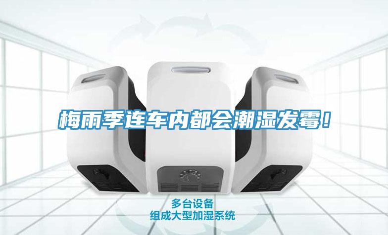 梅雨季連車內(nèi)都會潮濕發(fā)霉！
