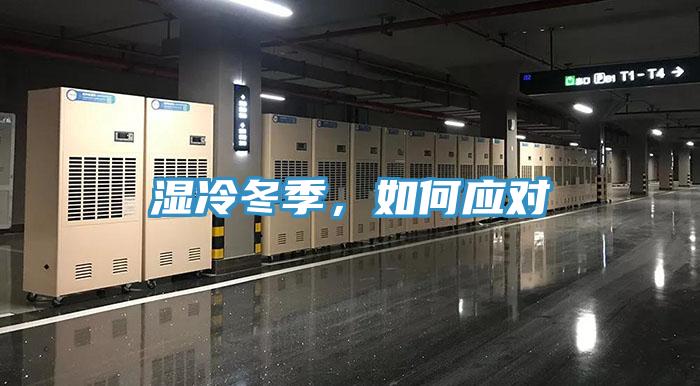 濕冷冬季，如何應(yīng)對(duì)