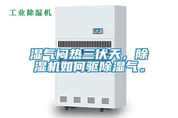 濕氣悶熱三伏天，除濕機(jī)如何驅(qū)除濕氣。