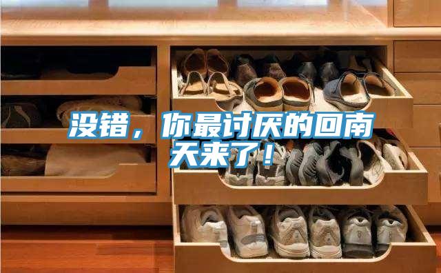 沒錯，你最討厭的回南天來了！