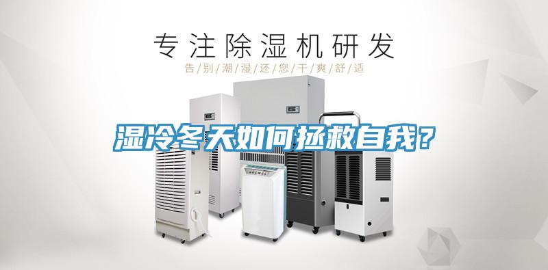 濕冷冬天如何拯救自我？