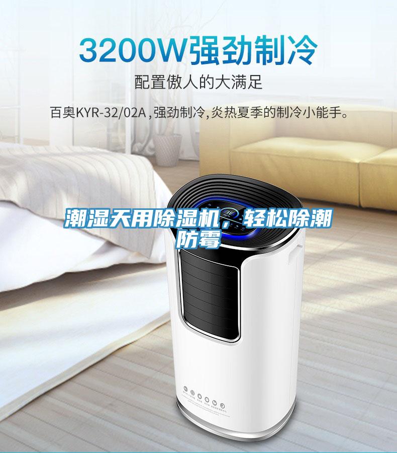 潮濕天用除濕機(jī)，輕松除潮防霉