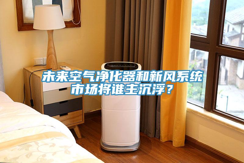 未來空氣凈化器和新風(fēng)系統(tǒng)市場將誰主沉??？