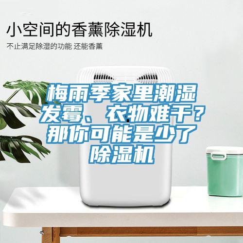 梅雨季家里潮濕發(fā)霉、衣物難干？那你可能是少了除濕機(jī)
