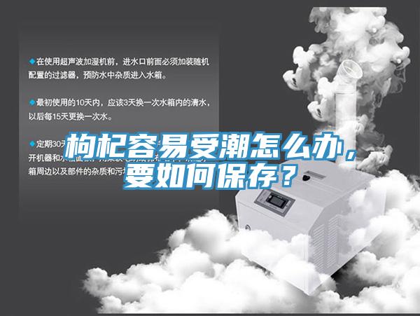 枸杞容易受潮怎么辦，要如何保存？