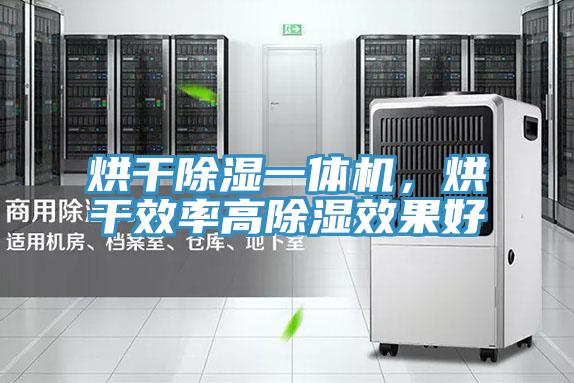 烘干除濕一體機(jī)，烘干效率高除濕效果好