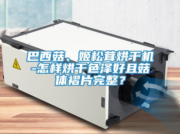 巴西菇、姬松茸烘干機(jī)-怎樣烘干色澤好且菇體褶片完整？