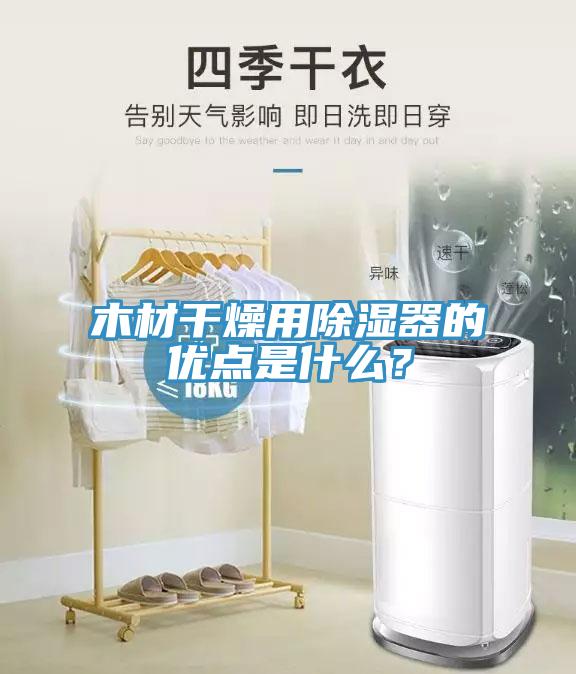 木材干燥用除濕器的優(yōu)點是什么？