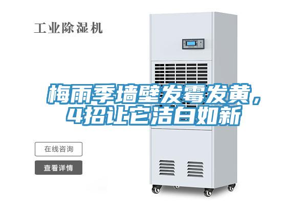 梅雨季墻壁發(fā)霉發(fā)黃，4招讓它潔白如新
