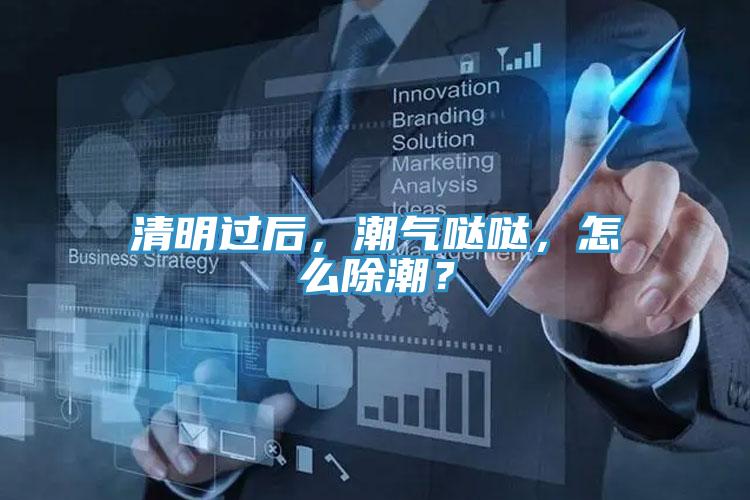 清明過后，潮氣噠噠，怎么除潮？