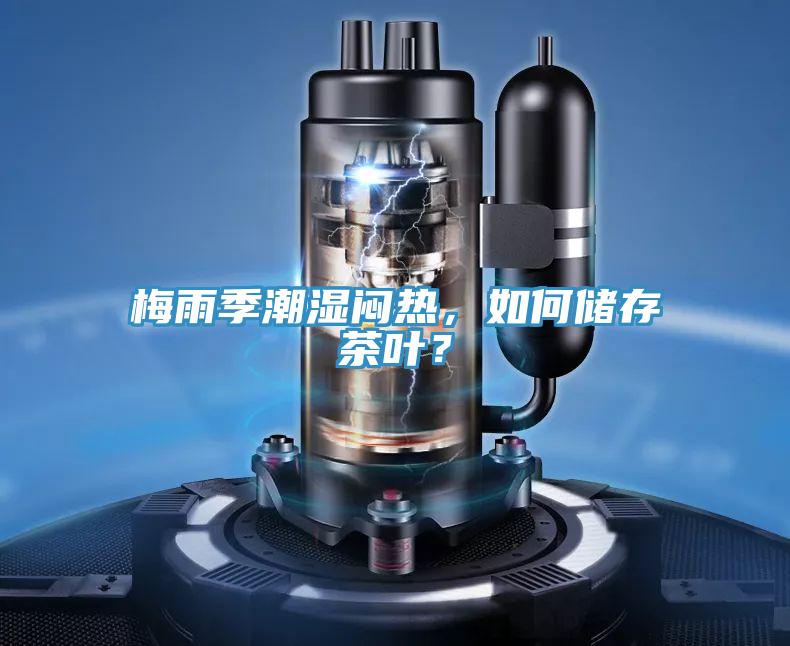 梅雨季潮濕悶熱，如何儲(chǔ)存茶葉？