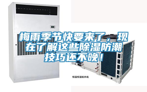 梅雨季節(jié)快要來(lái)了，現(xiàn)在了解這些除濕防潮技巧還不晚！