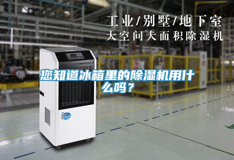 您知道冰箱里的除濕機用什么嗎？