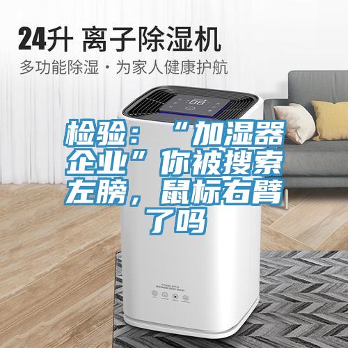 檢驗(yàn)：“加濕器企業(yè)”你被搜索左膀，鼠標(biāo)右臂了嗎